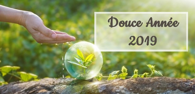 2018 est finie ! Vive 2019...